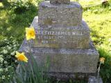 image of grave number 264944